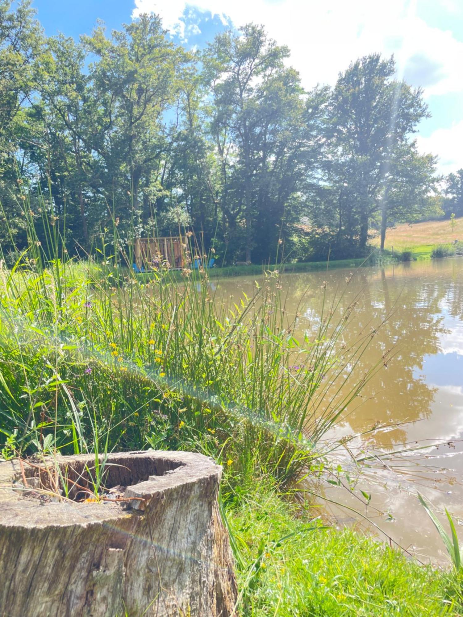 Gite Neuf Avec Jardin, Foret Et Etang Argenton Sur Creuse Luaran gambar